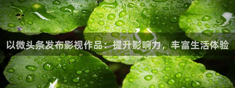 爱乐之城 电影天堂